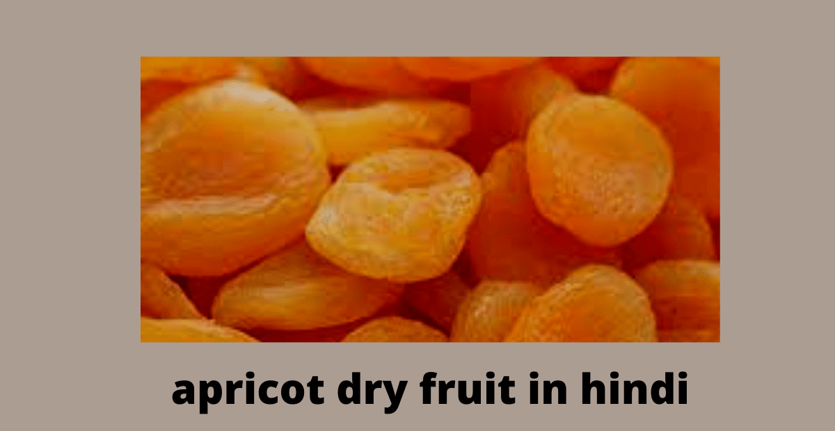 apricot dry fruit in hindi|benefits of apricot